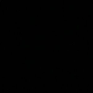 Meet your Posher, Brigitte